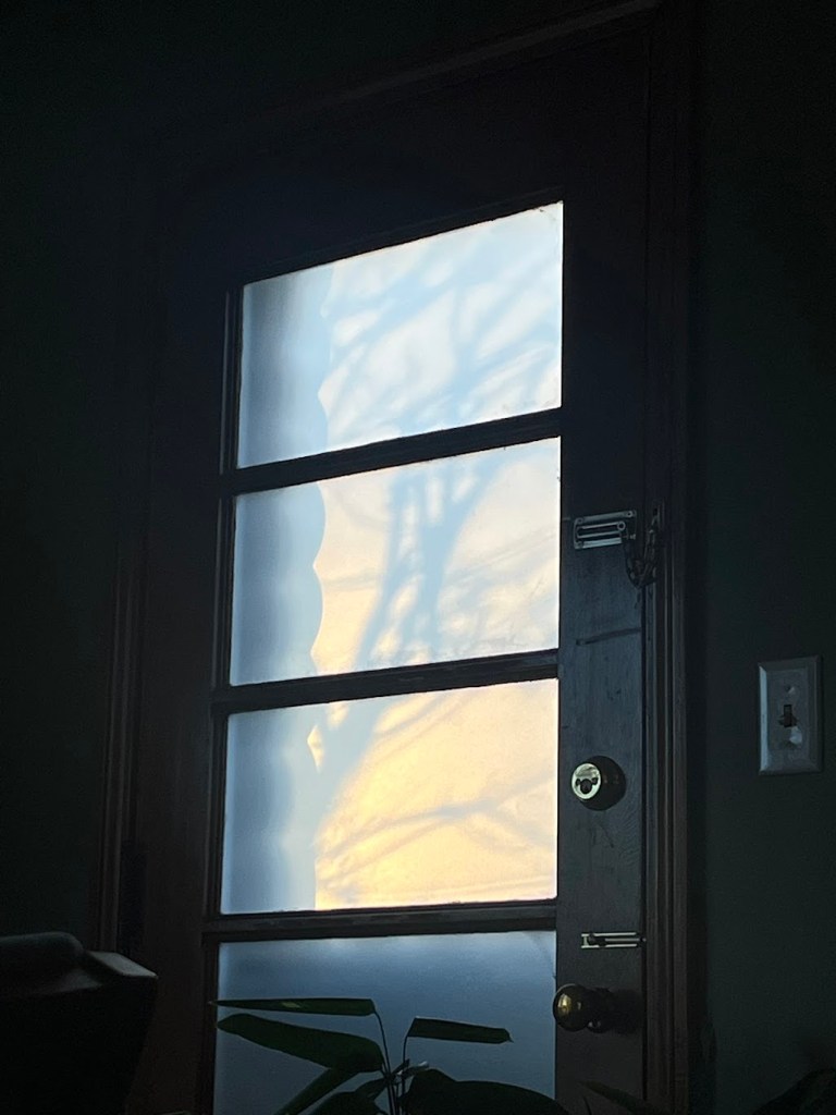 a door with several frosted glass panels. light from the sunset is creating shadows from a nearby tree on the frosted glass panels.